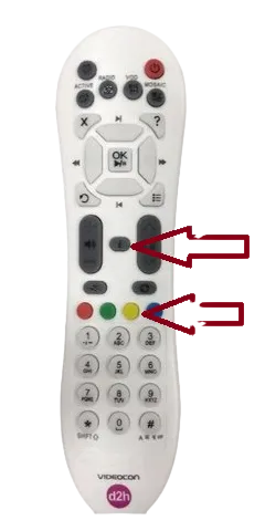 d2h remote